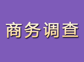 泸州商务调查